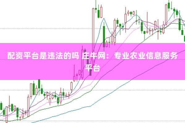 配资平台是违法的吗 庄牛网：专业农业信息服务平台