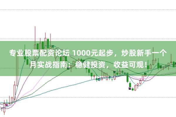 专业股票配资论坛 1000元起步，炒股新手一个月实战指南：稳健投资，收益可观！