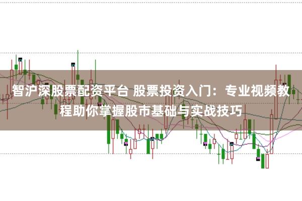 智沪深股票配资平台 股票投资入门：专业视频教程助你掌握股市基础与实战技巧