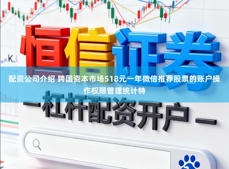 配资公司介绍 跨国资本市场518元一年微信推荐股票的账户操作权限管理统计特